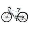 VARUN C7007 Electric Bicycle 28 Inch with 36V 10Ah Battery and Torque Sensor
