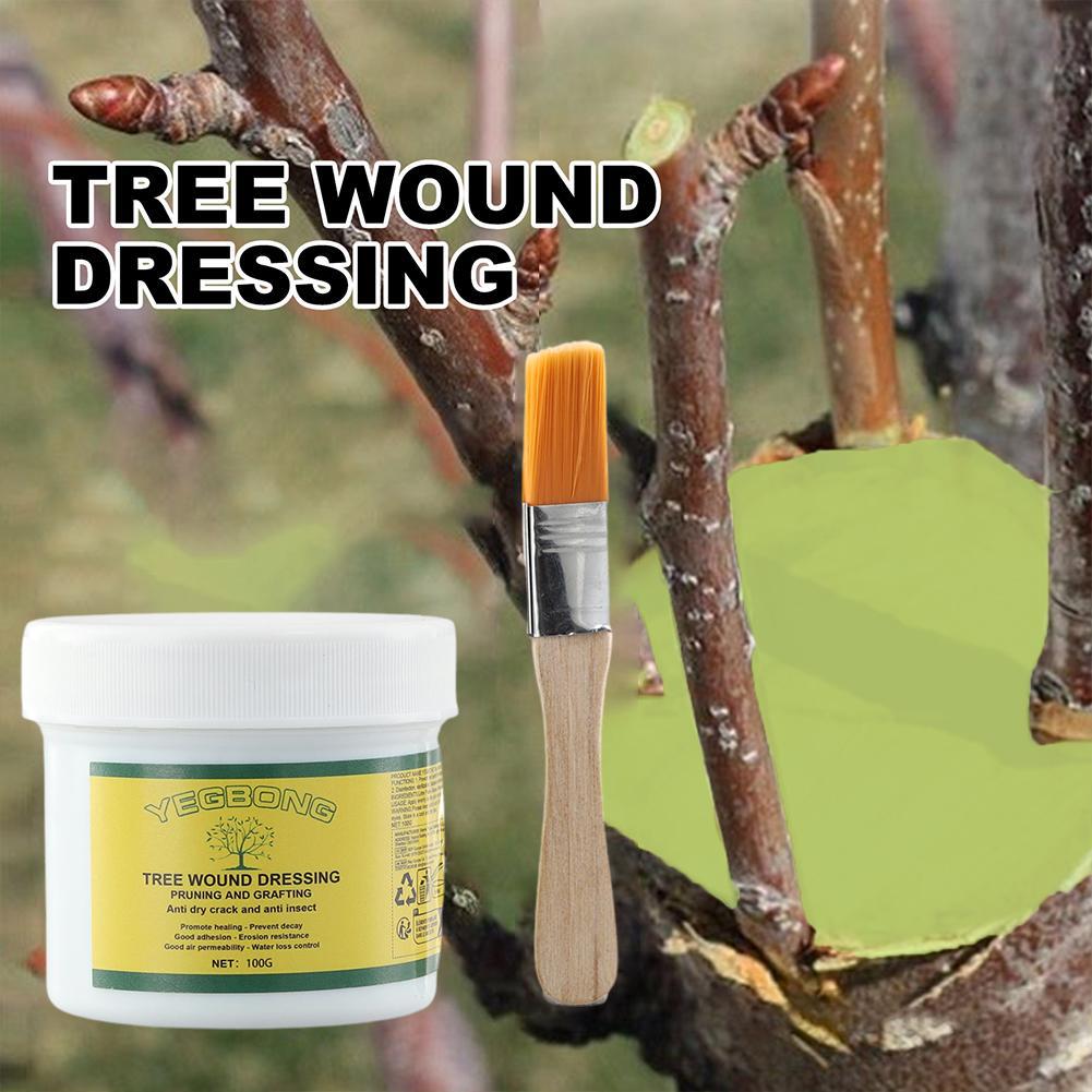 100g Tree Grafting Paste Tree Wound Paste Smear Agent Tree Pruning Sealer Plant Saw Cuts Coating Pruning Heal Wound Repair Tools