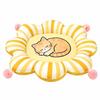 Pet Bed Cushioned Round Flower-Shaped Cat Lightweight for Bedrooms