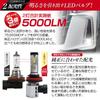 LED Headlights and Fog Lamps for Shingen XR and 12V Mini, H8, H9, H11, H16, All-in-One, 3000K, 4300K, 6500K, 8000K, 10000K,
