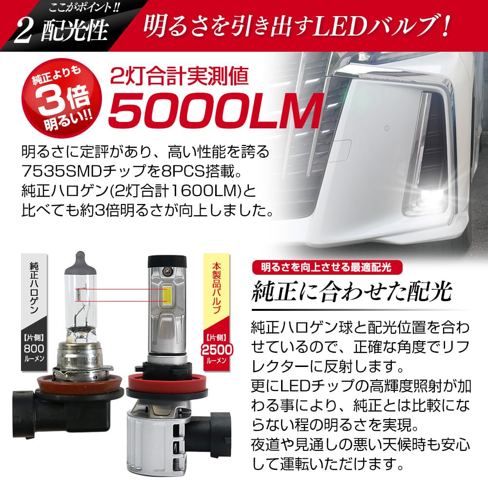 LED Headlights and Fog Lamps for Shingen XR and 12V Mini, H8, H9, H11, H16, All-in-One, 3000K, 4300K, 6500K, 8000K, 10000K,