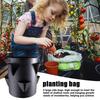 7Gallons Strawberry Planting Bag Grow Bag With 6 Side Grow Pocket Portable Tomato Planting Bags Strawberry Pots Planting Pots