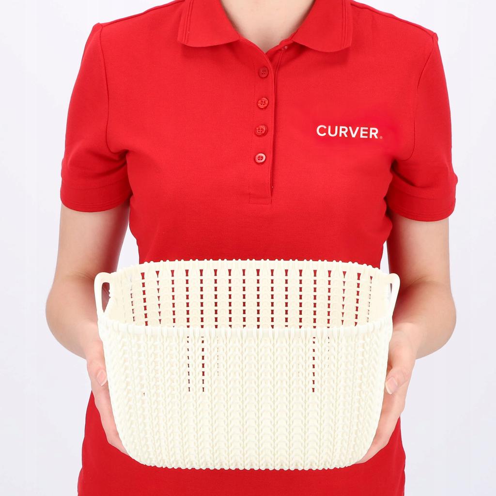 Curver Basket Small Item Organizer