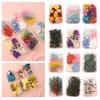 Dried Flowers Kit Real Natural Flowers Bulk Dried Flower DIY Everlasting Flowers Material for Handmade Jewelry Nails Crafts