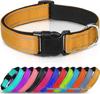 Ensemble Collier et Laisse pour Chien en Nylon Réfléchissant Réglable et Respirant - Taille Moyenne