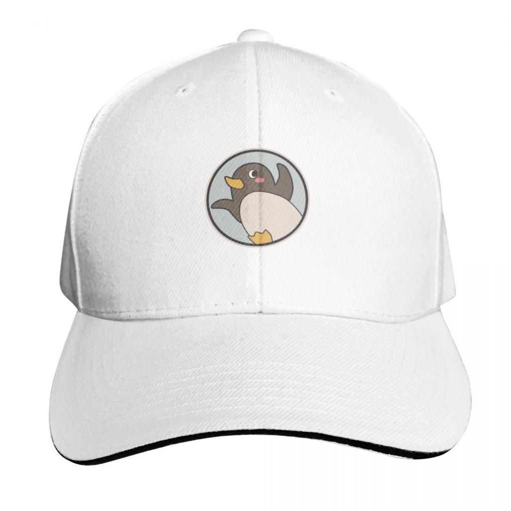 A Place Further Than the Universe  Challenge for Antarctic Logo Essential  Baseball Cap Rugby Western Hat For Women  Unisexs