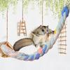 Yousheng Hamster Climbing Rope Fun And Exercise Develops Coordination And Balance Hamsters Guinea Pigs Ferrets Climbing Crawling Biting Toy Glide