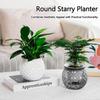 Hydroponic Flower Pot Transparent Automatic Water Absorbing Flowerpot Household Plants Self Watering Planter Home Office Decor