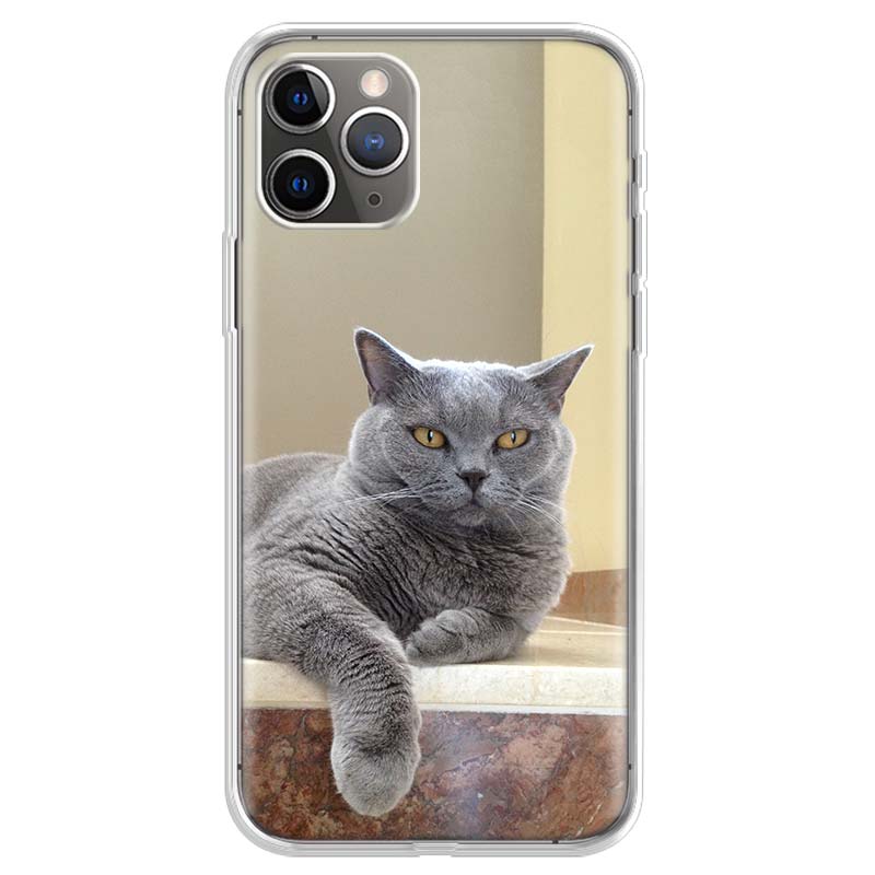 British Shorthair Cat Phone Case For iPhone 17 Air 11 13 Mini 14 15 Plus 16 12 Pro Max 16E SE 7 8 Pattern Soft TPU Back Cover 1