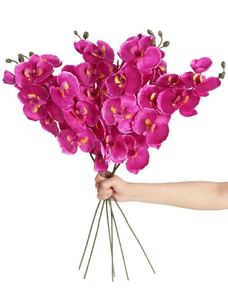 

6 шт. искусственный цветок фаленопсис 26,7 дюймов длинный стебель нетканый материал европейский реквизит для фотографий обеденный стол свадьба украшение для дома на открытом воздухе фиолетовый