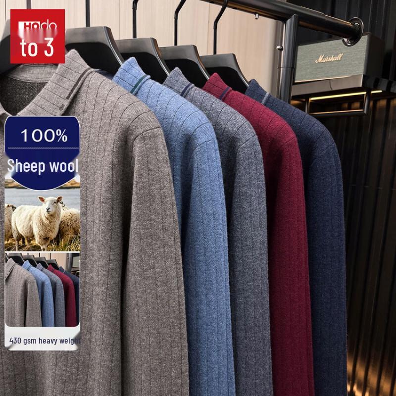 Hodo Men's 100% Merino Wool Thickened Polo Sweater