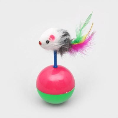 Katten – Speelgoed voor katten