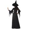 Adult Halloween Ladies Classic Purple Witch Fancy Dress Costume & Hat Accessory