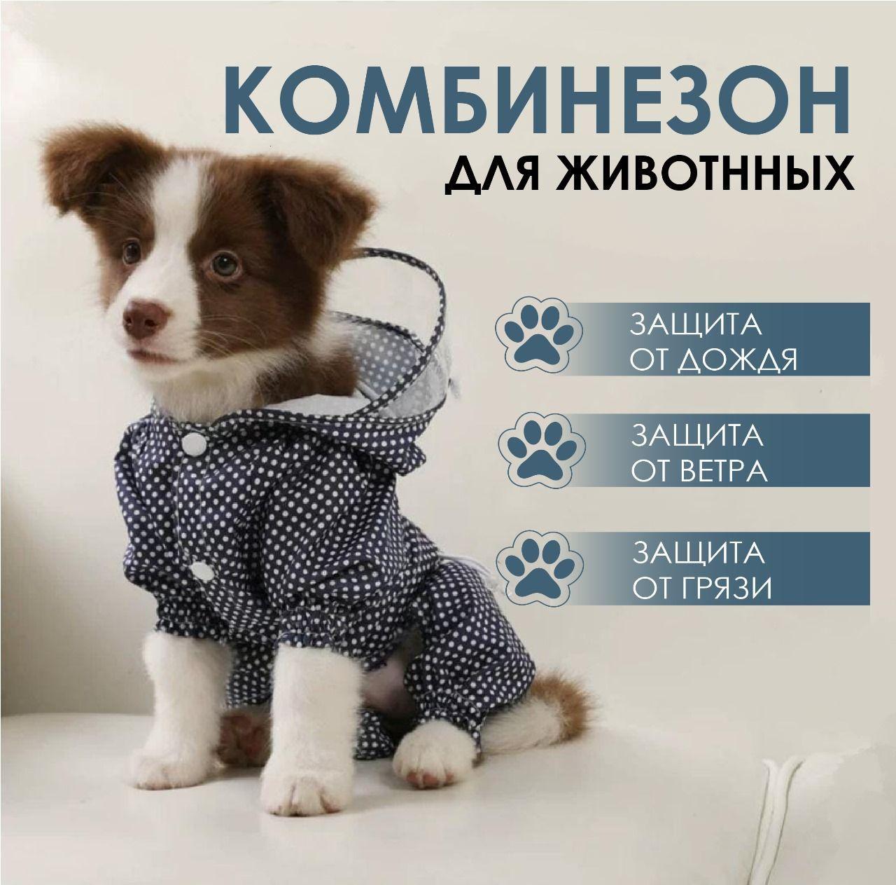 

Дождевик для собаки в горошек, уличный, для четырехлапого питомца L синий