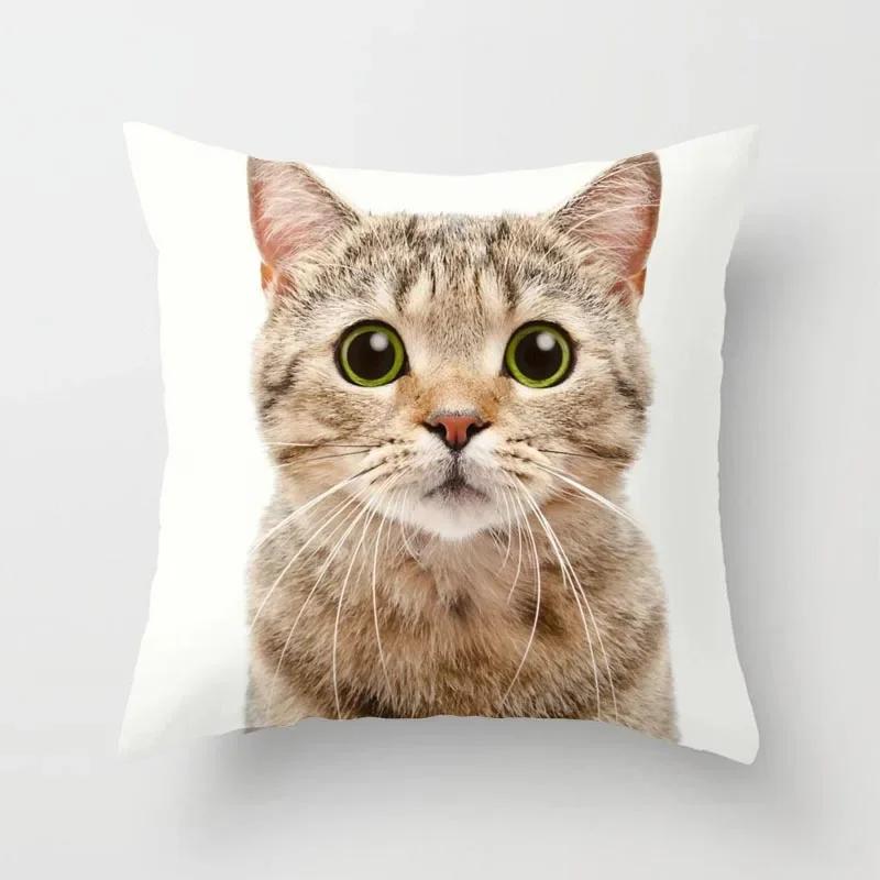 Cat Sofa Pillowcase Cushion Cover     Bed Home Living Room Car Office