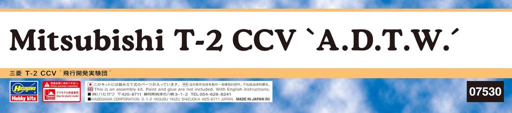 Hasegawa Mitsubishi CCV Flight Development Experiment Group Plastic Model 07530 1/48 T-2
