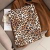 New Leopard Print Women's Scarf High End Soft and Warm  Imitation Cashmere Printed Tassel Scarf Dual Use Shawl