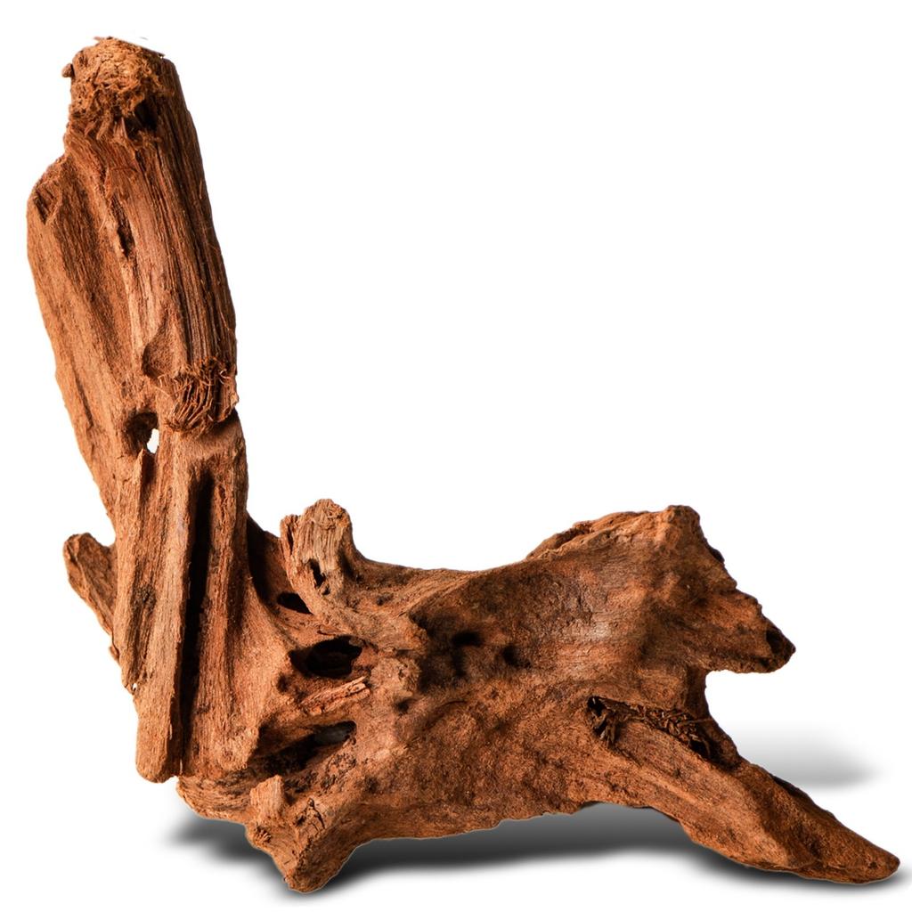 Driftwood Root Natural Xxs 10Cm Freshwater Plant Aquarium