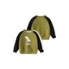 Kids Patchwork Sleeve Brushed Hoody Autumn and Winter Boys Thickened Dinosaur Pullover Tops Baby Raglan Sleeve Clothes