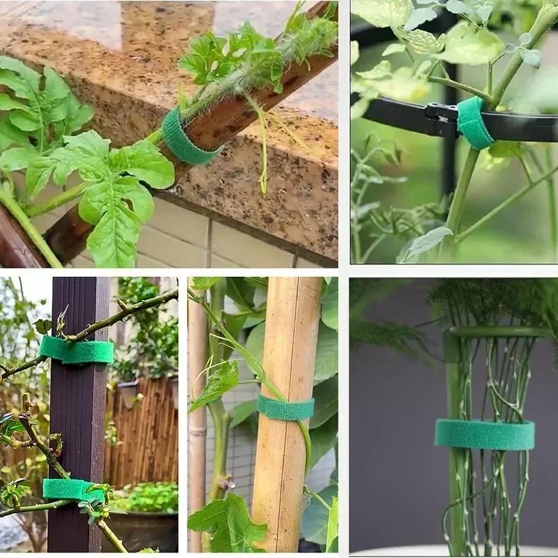 10mm*500mm/1Roll Self Adhesive Plant Nylon Cable Tie Adjustable Green Plant Hook Loop Support Twine Bandage Fasteners Tape Strips Garden Supplies