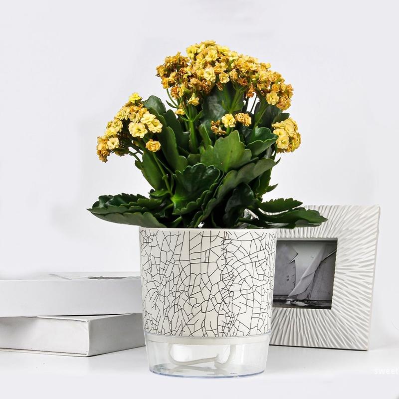 Plastic Self Watering Lazy Flowerpot Automatic Hydroponic Plants Pot Desktop Succulent Potted Planters Home Office Decor