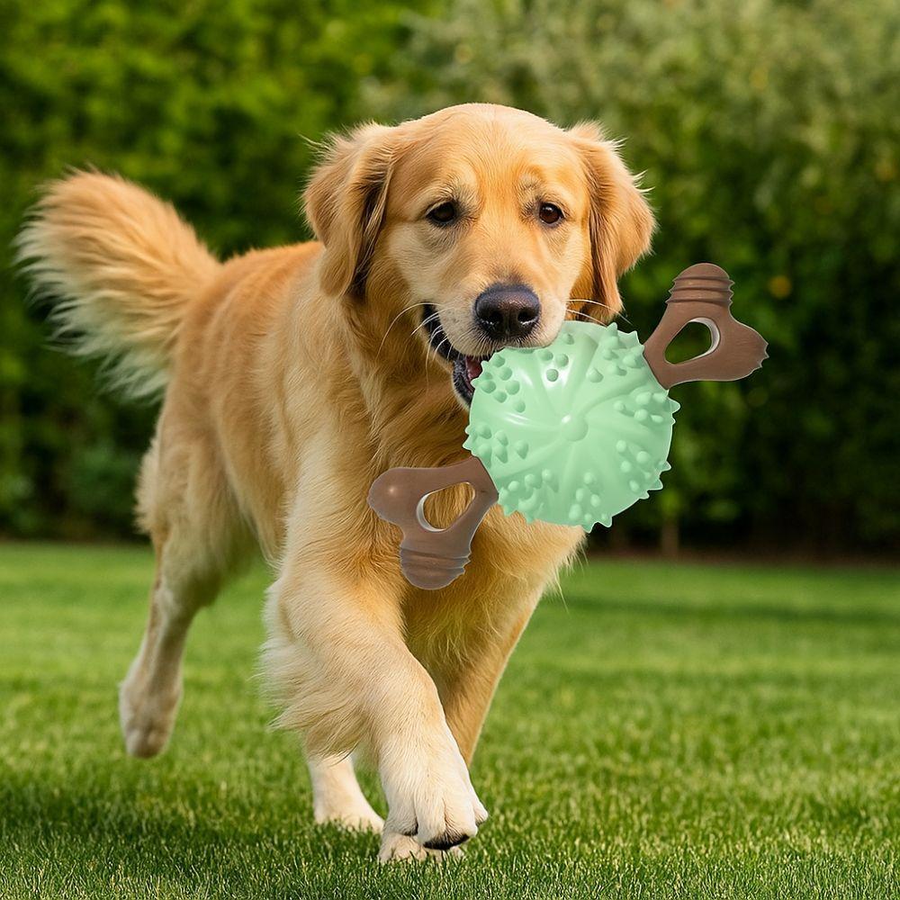 Bite Resistant Dog Teething Stick TPR Dog Chew Toy Dog Toothbrush Toy  Self Amusement