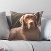 Faulheitstage Schokoladen Labrador Quadratische Kissenhülle Polyester Leinen Samt Kreativer Reißverschluss Dekor Kissenbezug Zimmer Kissenbezug 45X45