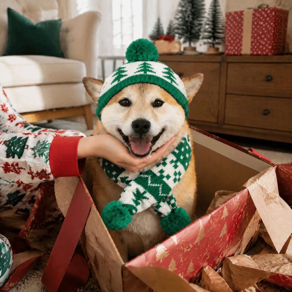Green Red Pet Dress Up Set Adjustable Pet Knitted Suit Xmas Pet Costume
