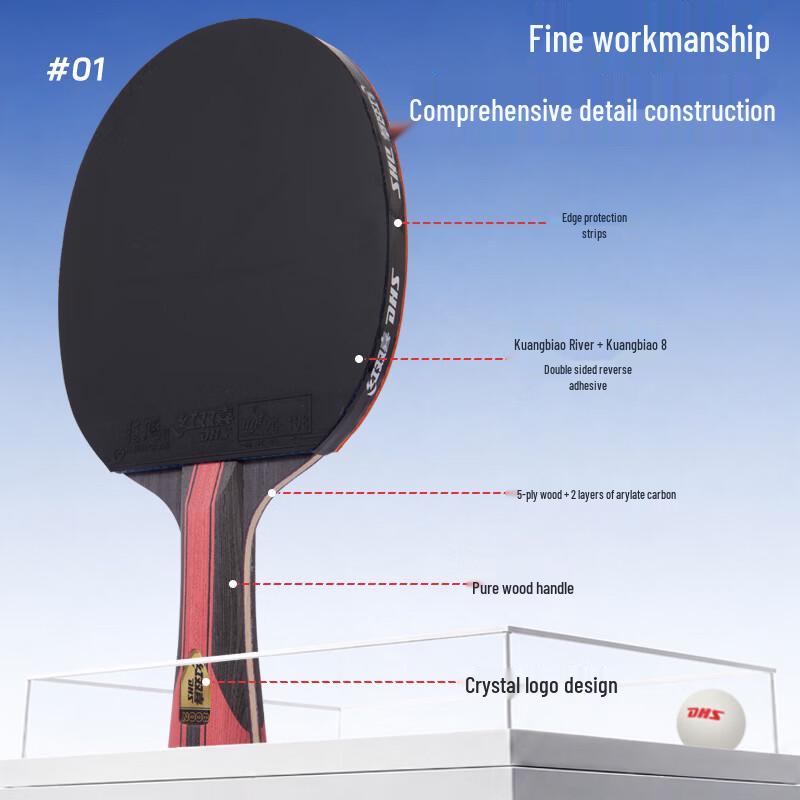 DHS Professional 8-Star Arylate Carbon Table Tennis Racket