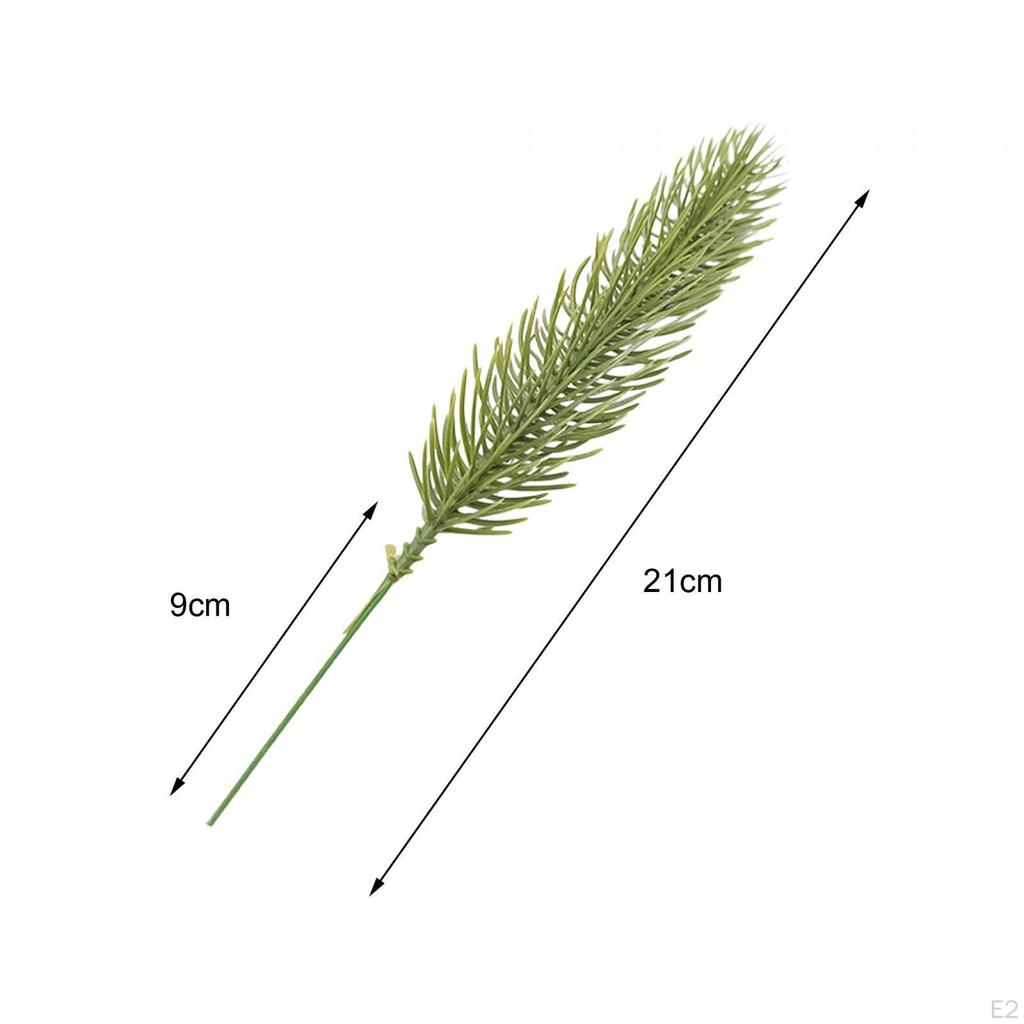 Branches for DIY Wreath Making and Christmas Tree Decor