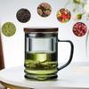 Glass Tea Cup with Infuser and Lid 14.5 fl oz Heat Resistant Borosilicate Glass Tea Infuser Mug for Blooming and Loose Leaf Tea