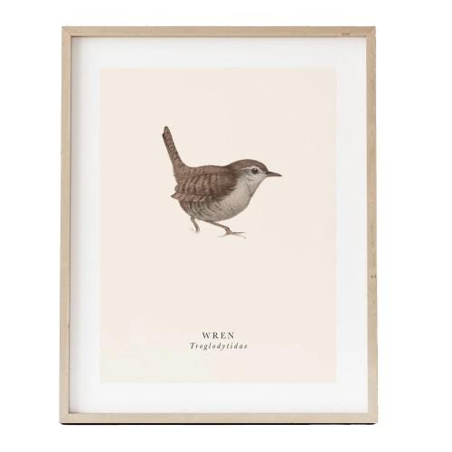 Tall Boy Prints Wren Print