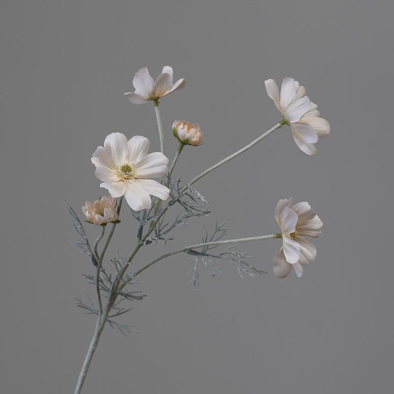 Pastoralne Kwiatowe Jedwabne Kosmosy i Kosmosy Symulowane Kwiaty