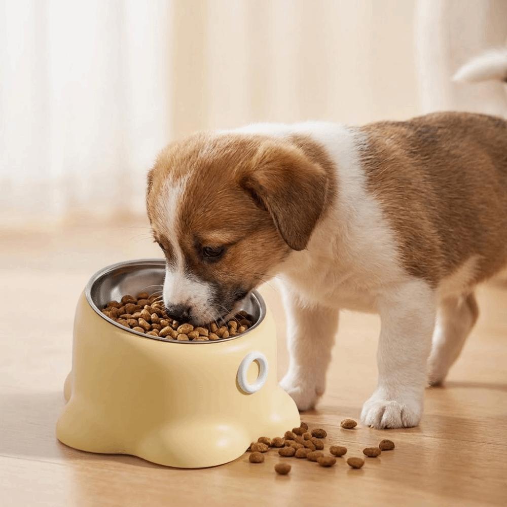 Anti-Tip Dog Food Bowl Elevated Design Cat Water Bowl Neck Protector Cat Bowls  Pet Drinking
