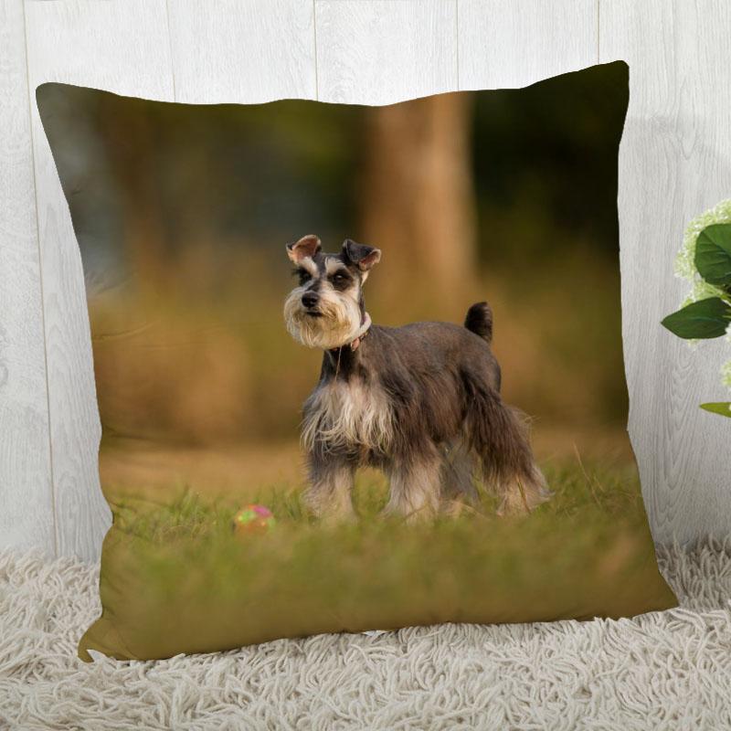 Pillow Cover Customize Schnauzer Pillow Case Modern Home Decorative Pillowcase For Living Room 45X45Cm,40X40Cm A.4.29