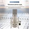 Professional U87 Large Diaphragm Condenser Microphone Set with Sound Card for Live Streaming and Singing