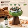 Wilderness Secret Scented Stone Diffuser Gift Set - Indoor Flameless Aroma Ornament for Holidays and Parties