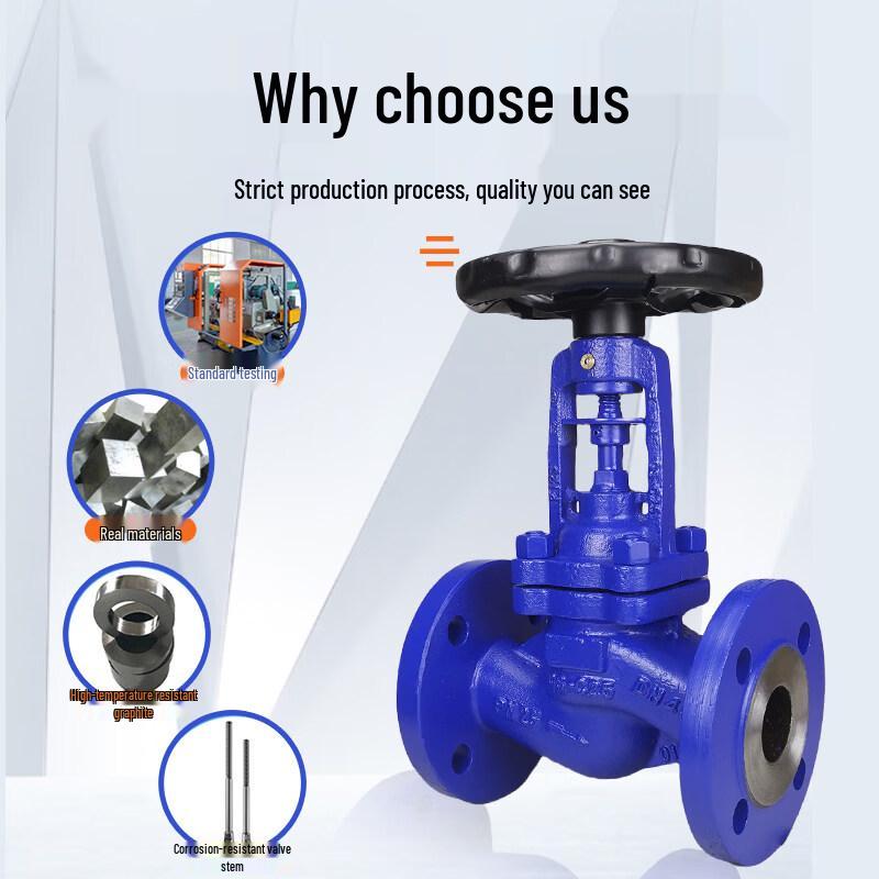Yundu Bellows Flanged Globe Valve