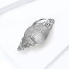 New Elegant Conch Shell Brooch Lapel Pins Badge High-end Exquisite Jewelry Brooches for Women and Men Fashion Accessories