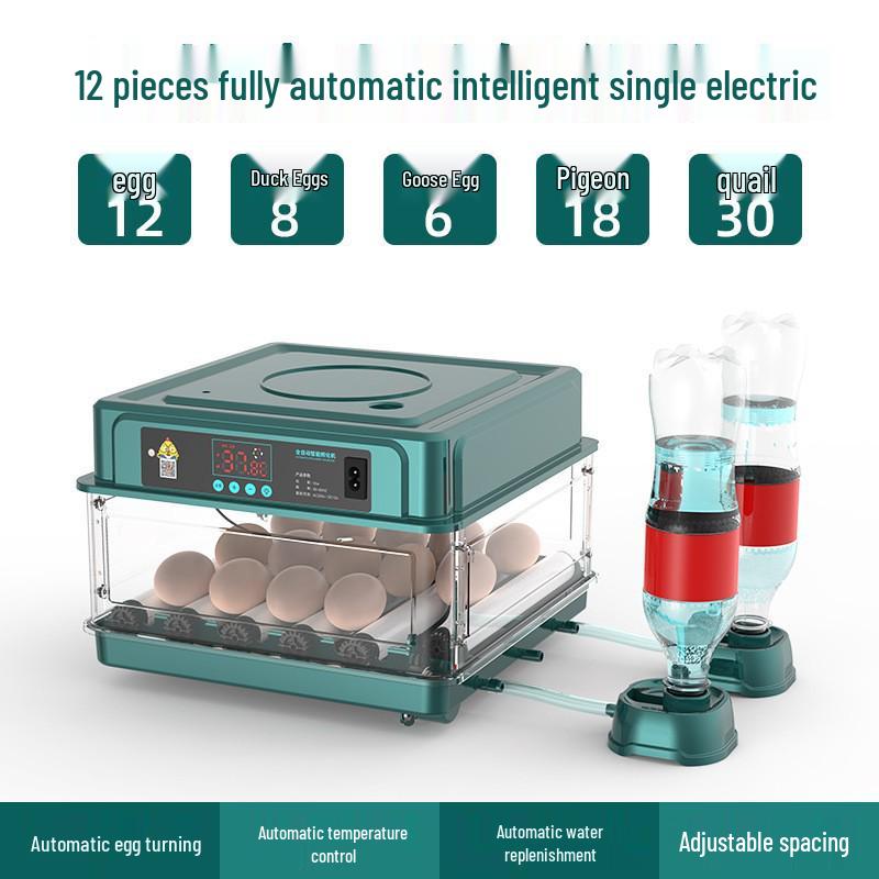 Compact Intelligent Egg Incubator for Home - Automatic for Chicken, Duck, Goose Eggs