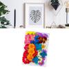 36Pcs Dried Flowers Assorted Styles Colors Natural Material Multi Purpose Dried Flower Heads for