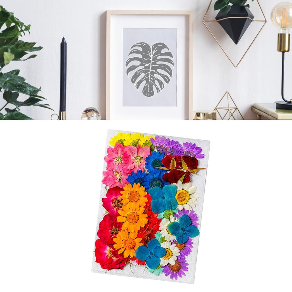 36Pcs Dried Flowers Assorted Styles Colors Natural Material Multi Purpose Dried Flower Heads for