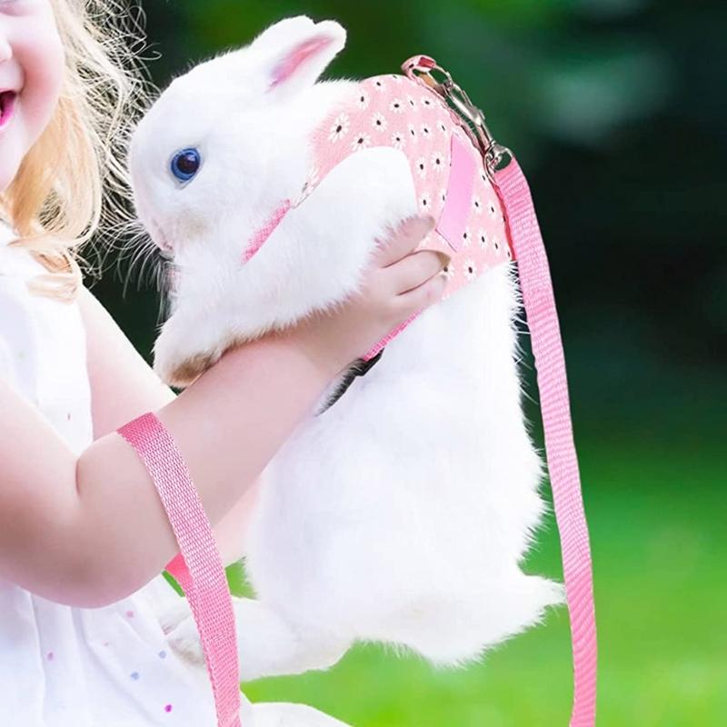 Pet Harness and Leash Small Animal Suit Vest Harness Outdoor Activity Training Small Pet Leash Clothes for Guinea Pigs
