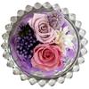 Q-FLA Preserved Flower Arrangement In a Dry Dome, Purple, Mother's Day Gift, 785634