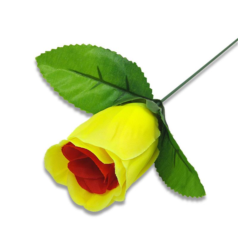 Odbarvení růže (Červená Změna Žlutá) Rose Magic Triky Změna Roses Magic