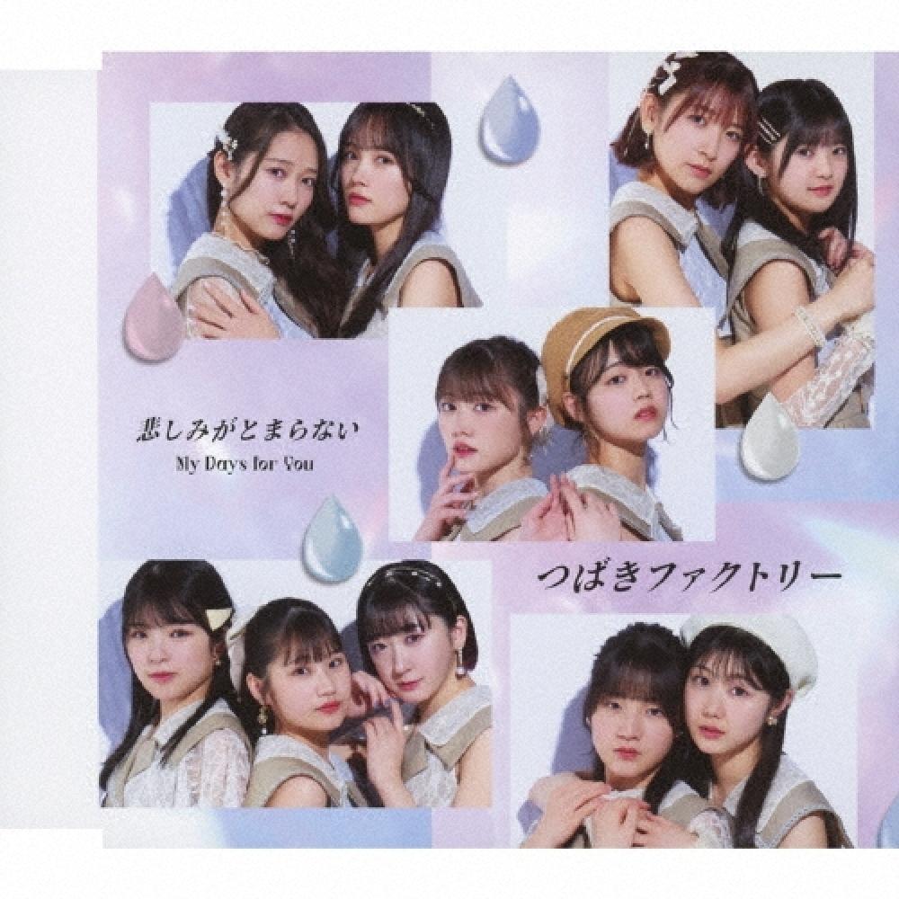 

TsuBaki FacTory My Days For You Can T sTop The Sadness Normal ediTion B