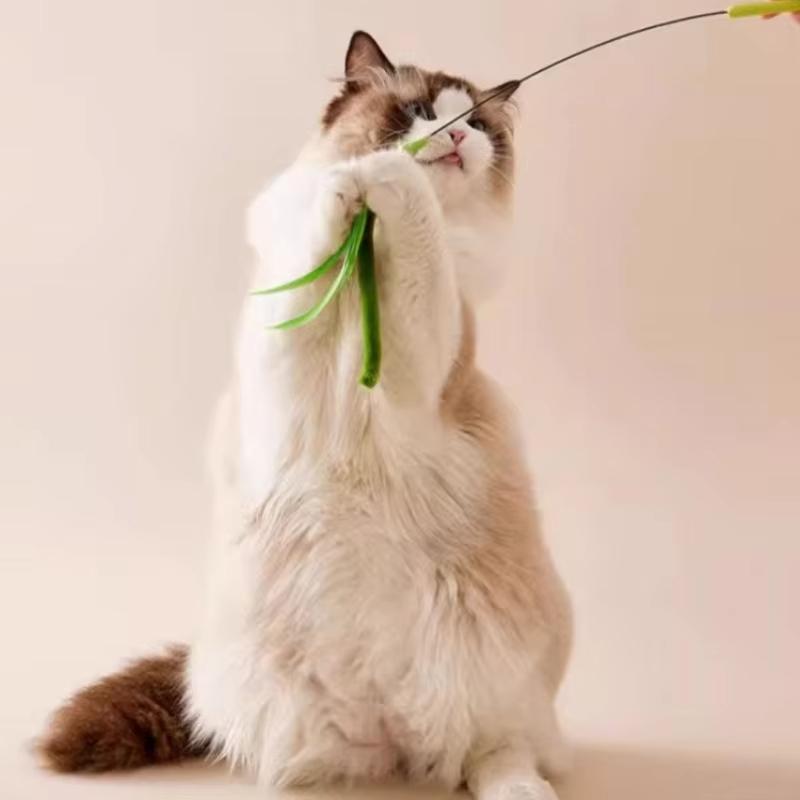 Cat Interactive Toy Tail Grass Cats Sage Feather Toy Long Pole Kitten Teasing Stick Bite Resistant Sound Toy Cat Supplies