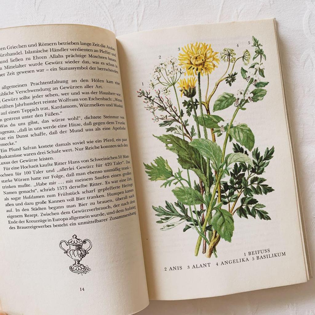 [USED] I'm drawn to the rustic feel of these vintage books on spices and herbs, foreign books, and old botanical books.