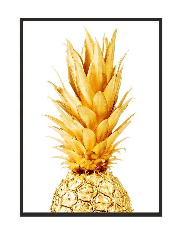Obraz, plakat w ramie 73x53 cm ananas p510