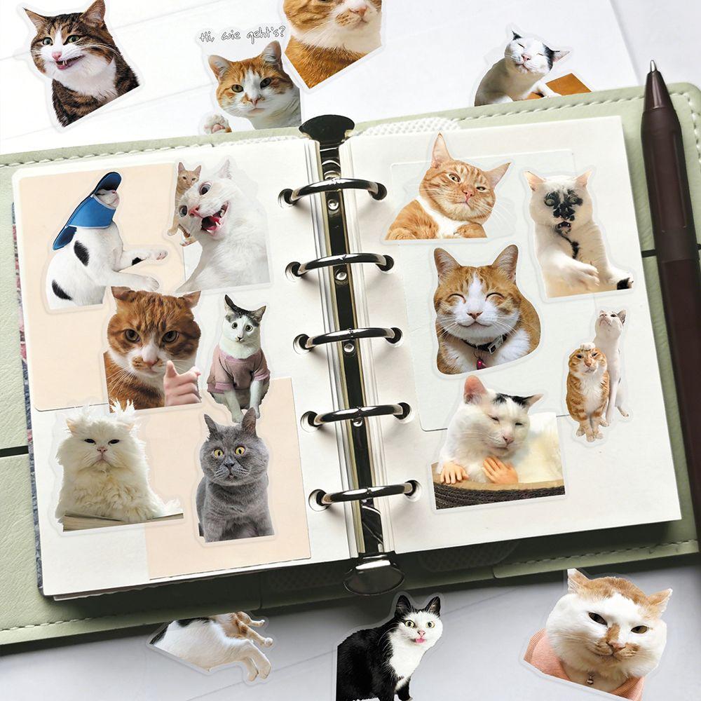 50 Pieces Cat PET Stickers Cute Realistic Cat Meme Emoji Decals Decorate Water Cups Stationery Suitcases Fridges Laptops Notebook Scrapbook